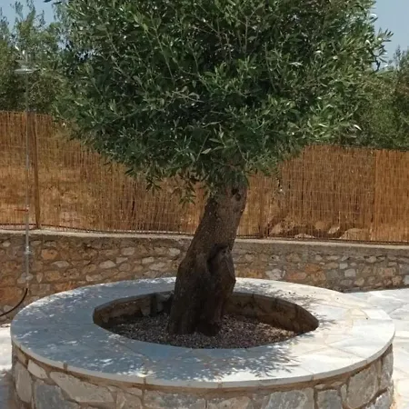 Vitilo Sweet Itylo